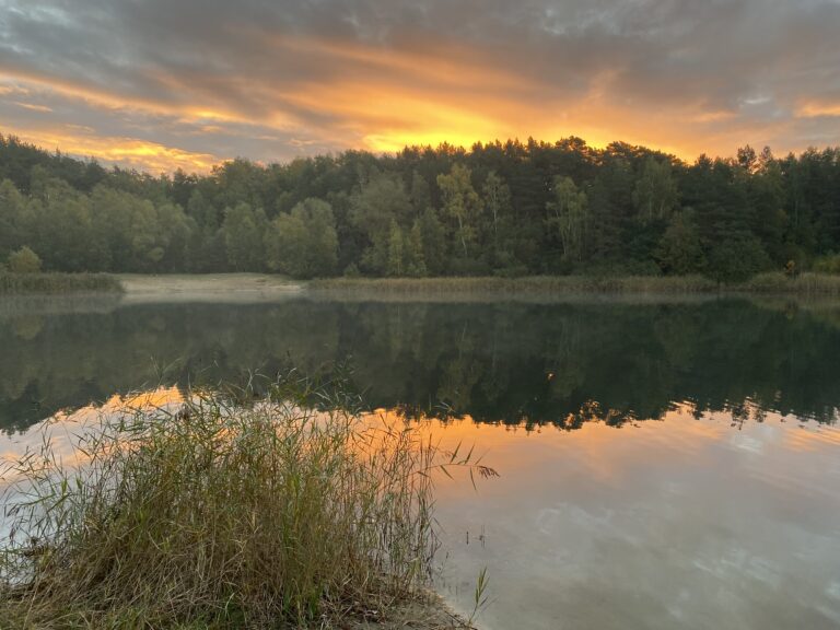 Kuhle Welt