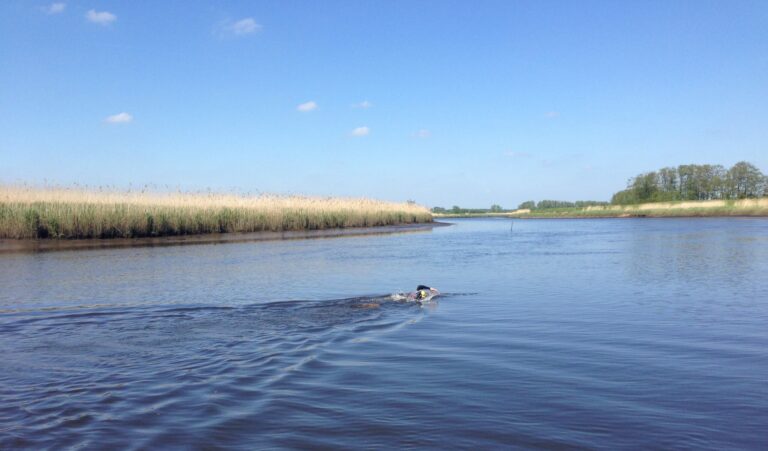 Mit dem SUP auf der Schwentine.